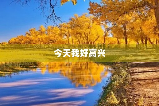 今天我好高兴
