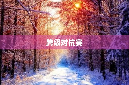 跨级对抗赛 跨级对抗赛