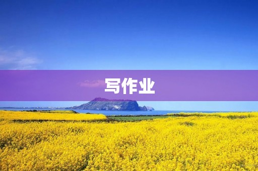 写作业 写作业