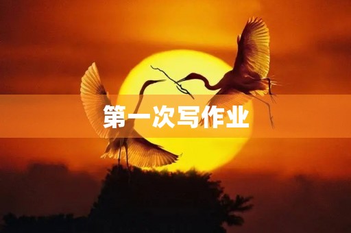 第一次写作业