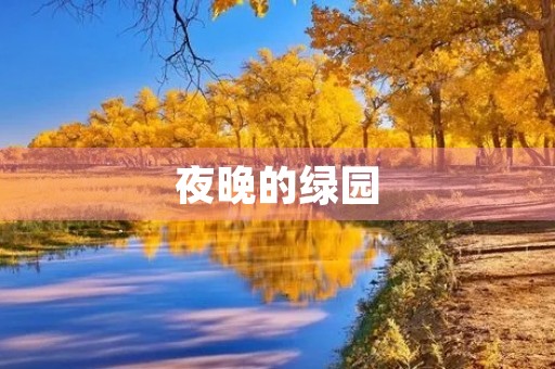 夜晚的绿园 夜晚的绿园