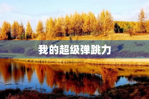 我的超级弹跳力