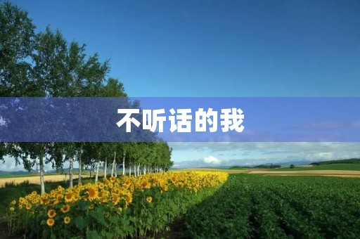 不听话的我 不听话的我