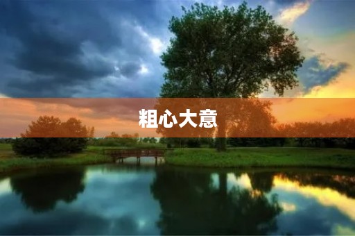 粗心大意 粗心大意