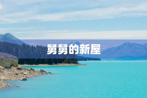 舅舅的新屋