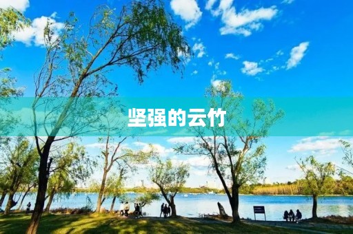 坚强的云竹