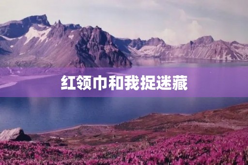 红领巾和我捉迷藏 红领巾和我捉迷藏