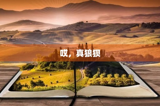 哎,真狼狈 哎,真狼狈
