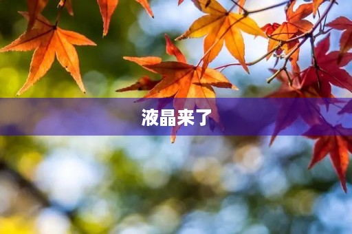 液晶来了 液晶来了
