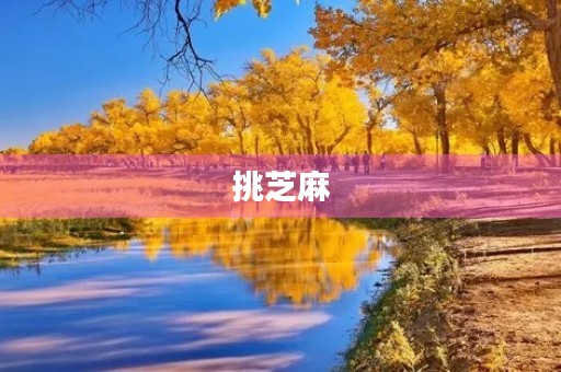 挑芝麻