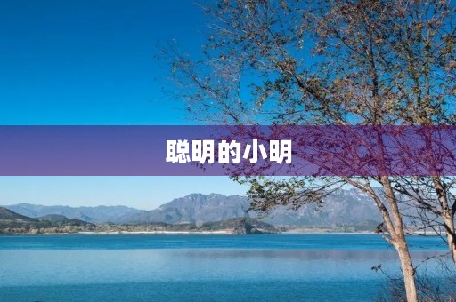 聪明的小明 聪明的小明