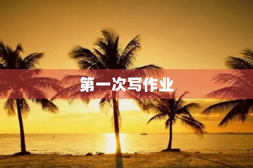 第一次写作业 第一次写作业