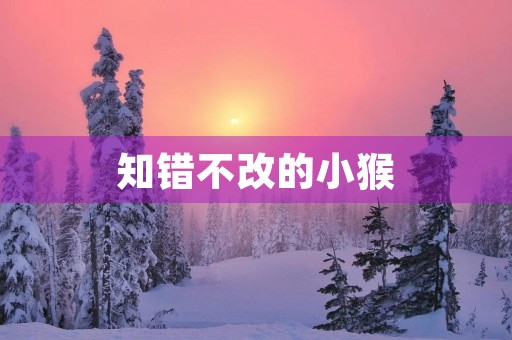 知错不改的小猴