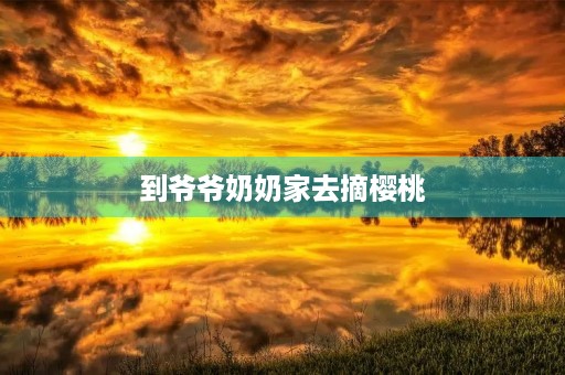 到爷爷奶奶家去摘樱桃