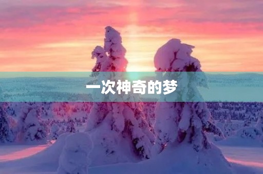 一次神奇的梦
