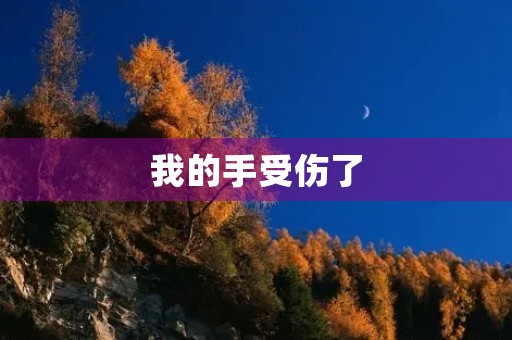 我的手受伤了
