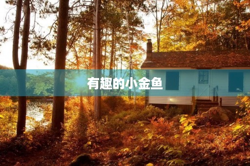 有趣的小金鱼 有趣的小金鱼
