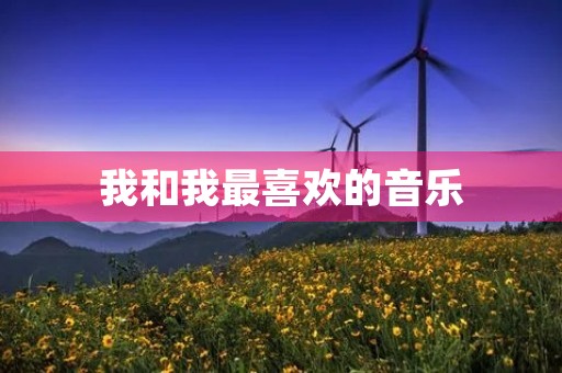 我和我最喜欢的音乐 我和我最喜欢的音乐
