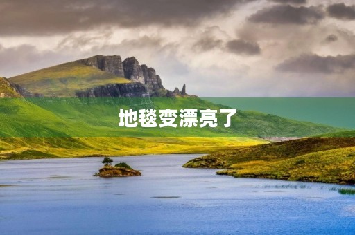 地毯变漂亮了 地毯变漂亮了