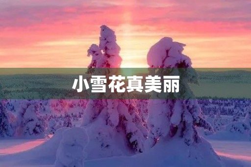 小雪花真美丽 小雪花真美丽
