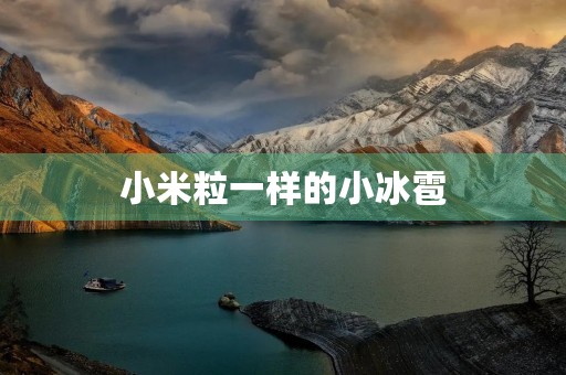 小米粒一样的小冰雹 小米粒一样的小冰雹