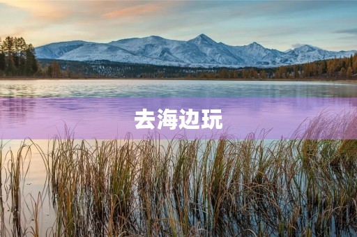 去海边玩 去海边玩