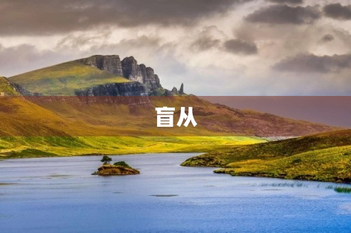 盲从 盲从
