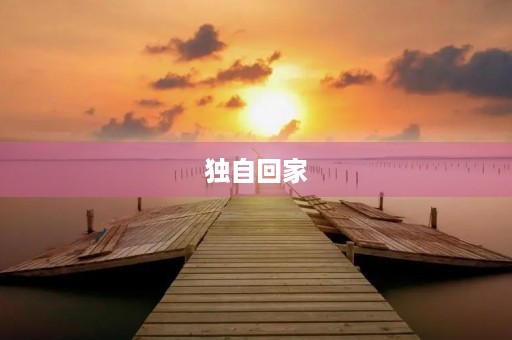 独自回家 独自回家