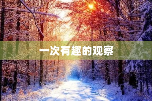 一次有趣的观察