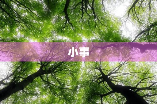 小事
