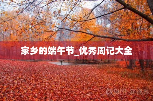 家乡的端午节_优秀周记大全