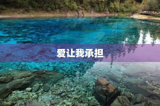 爱让我承担