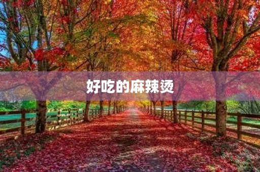 好吃的麻辣烫