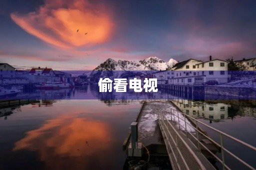 偷看电视