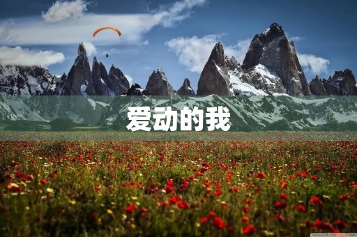 爱动的我