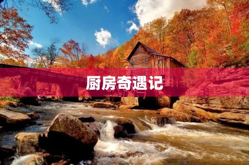 厨房奇遇记 厨房奇遇记