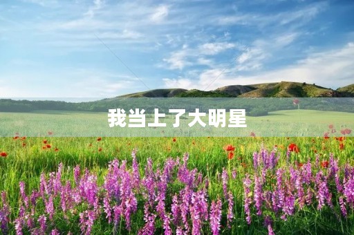 我当上了大明星 我当上了大明星
