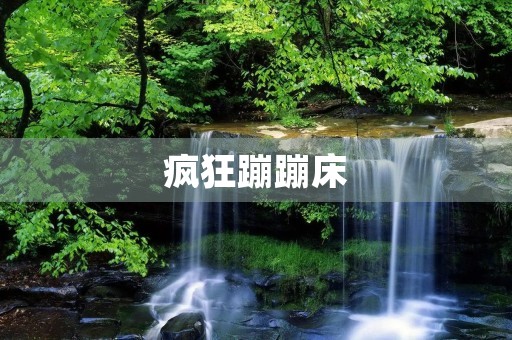 疯狂蹦蹦床 疯狂蹦蹦床