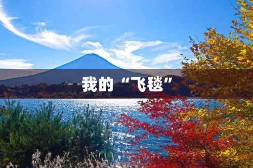 我的“飞毯” 我的“飞毯”