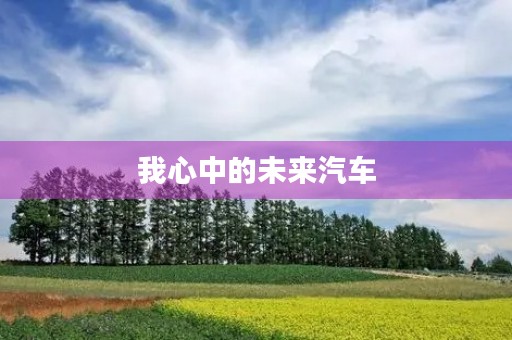 我心中的未来汽车 我心中的未来汽车
