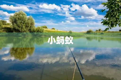 小蚂蚁 小蚂蚁