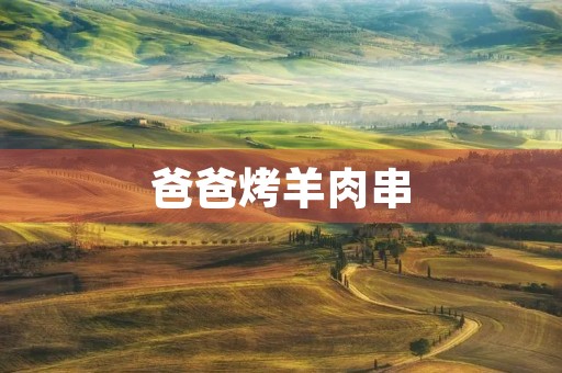 爸爸烤羊肉串 爸爸烤羊肉串