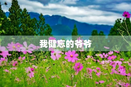 我健忘的爷爷 我健忘的爷爷