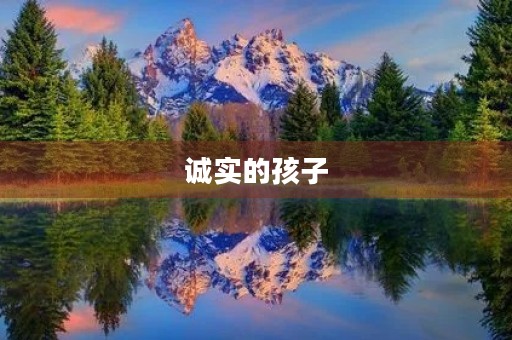 诚实的孩子 诚实的孩子
