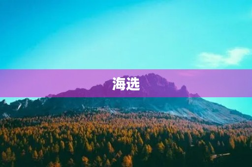 海选 海选