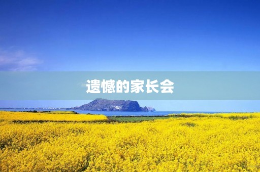 遗憾的家长会