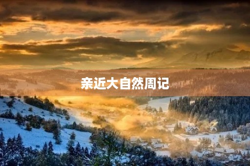 亲近大自然周记
