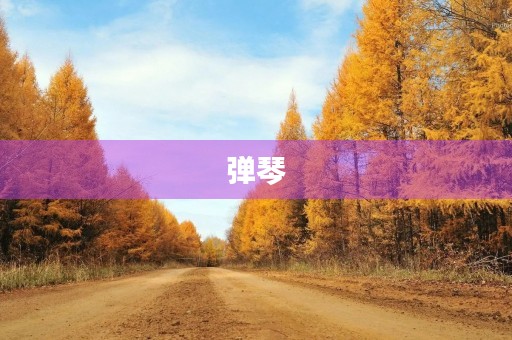 弹琴 弹琴