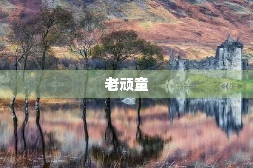 老顽童