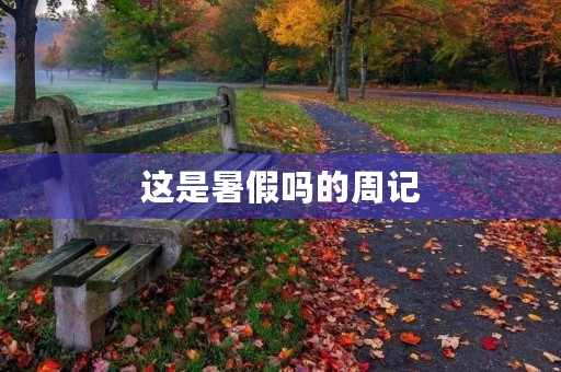 这是暑假吗的周记 这是暑假吗的周记